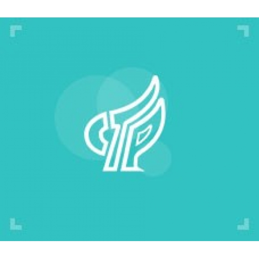 高新技術(shù)企業(yè)