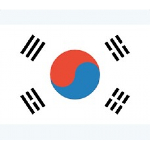 韓國(guó)專利申請(qǐng)